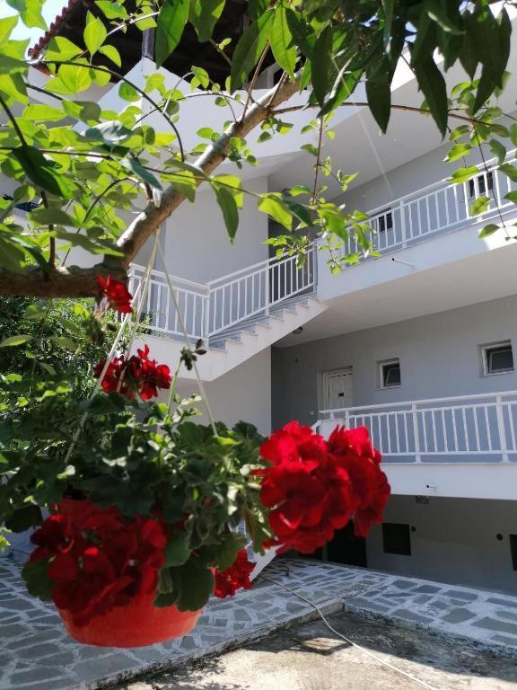 Elpida View Kallithea (Chalkidiki) Exterior foto